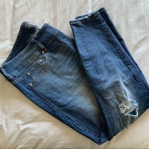 Torrid “Jegging” Skinny Jeans